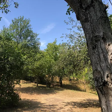 Erdoszeli Nyaralohaz * Mindszentkálla