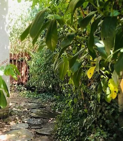 Erdoszeli Nyaralohaz Mindszentkálla