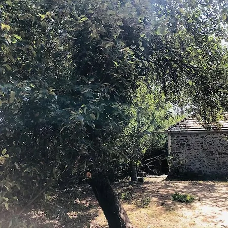 Ferienhaus Erdoszeli Nyaralohaz *