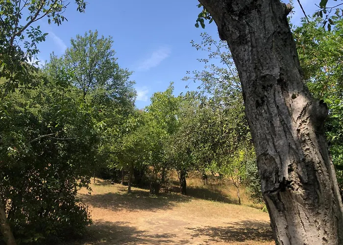 Erdoszeli Nyaralohaz * Mindszentkálla