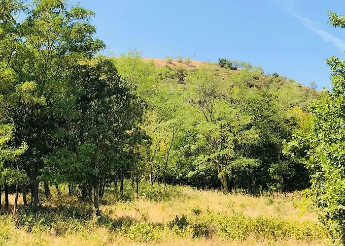 Erdoszeli Nyaralohaz * Mindszentkálla