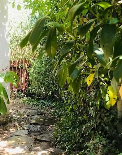 Erdoszeli Nyaralohaz Mindszentkálla